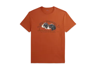 Polo Ralph Lauren Classic Fit Polo Sportsman T-Shirt "Orange"