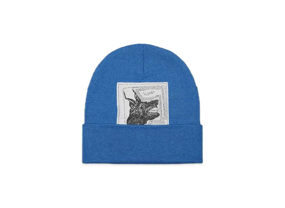 Supreme x The North Face Beanie "Blue"
