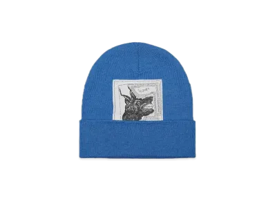 Supreme x The North Face Beanie "Blue"