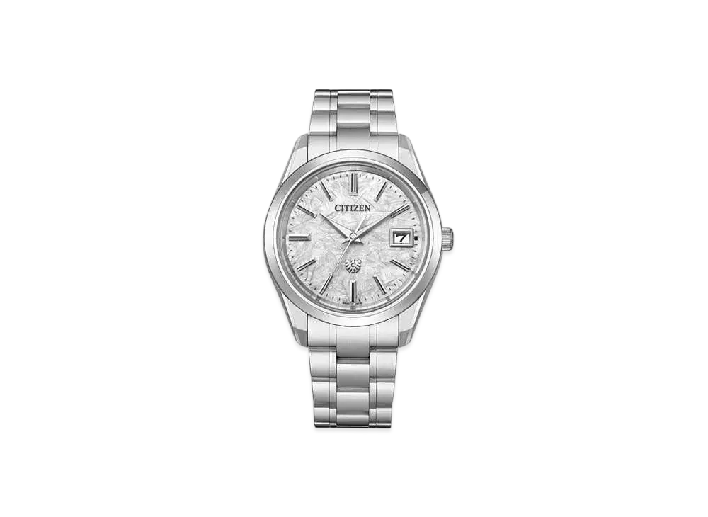 CITIZEN The Citizen AQ4100-57B