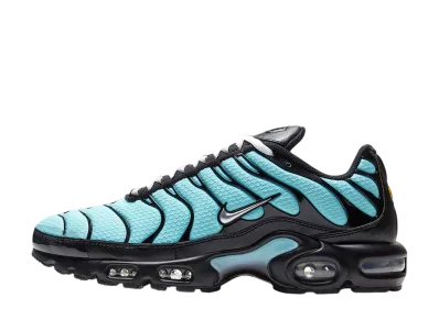 Nike Air Max Plus "Aqua/Black/White/Metallic Silver"