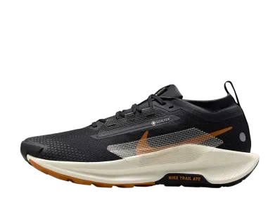 Nike Pegasus Trail 5 GORE-TEX "Off Noir/Black/Monarch/Pale Ivory"