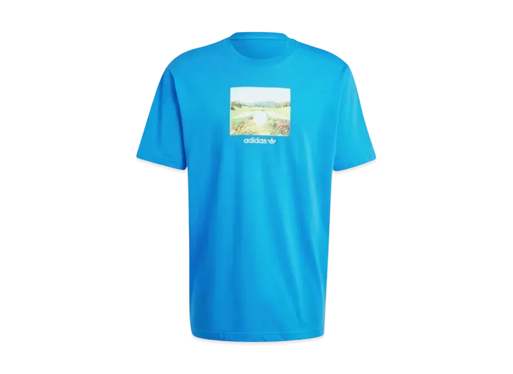 adidas Day Graphic T-Shirt "Blue"