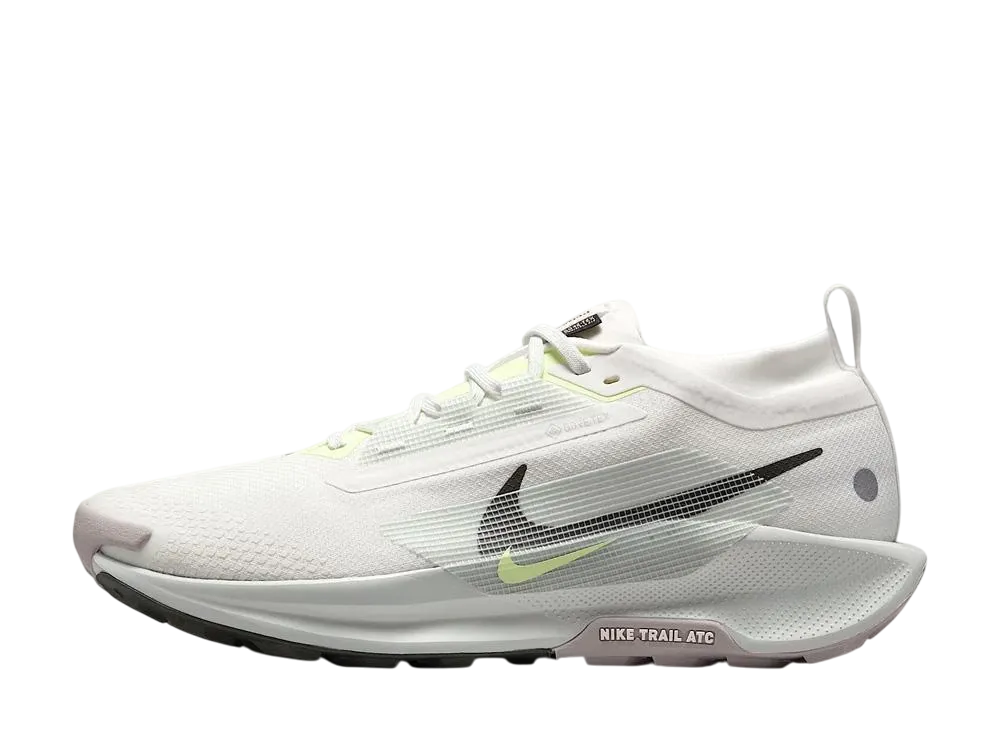 Nike Pegasus Trail 5 GORE-TEX "Summit White/Light Silver/College Grey/Sequoia"