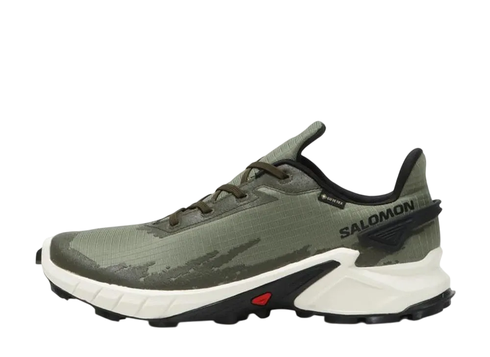 サロモン アルファクロス4 ゴアテックス "ディープリチェングリーン"