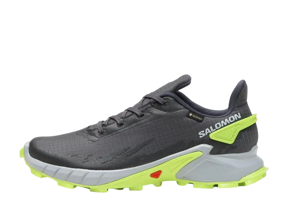Salomon Alphacross 4 GORE-TEX "Ebony/Pearl Blue"