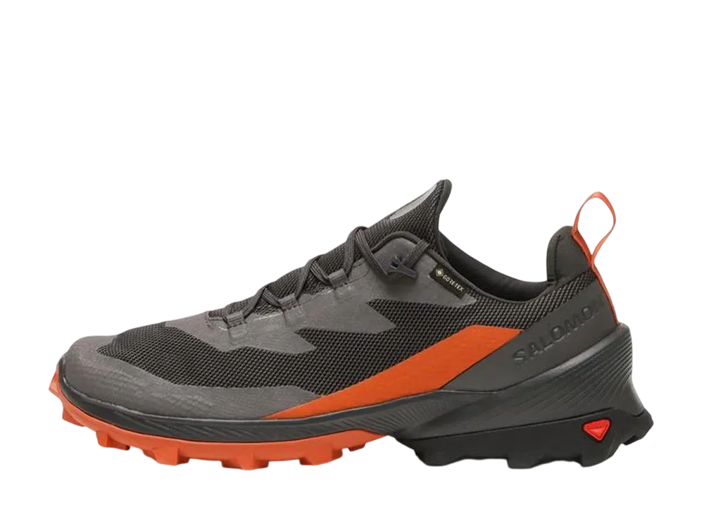 サロモン クロスオーバー2 ゴアテックス "マグネット/ファントム/スパイスルート"