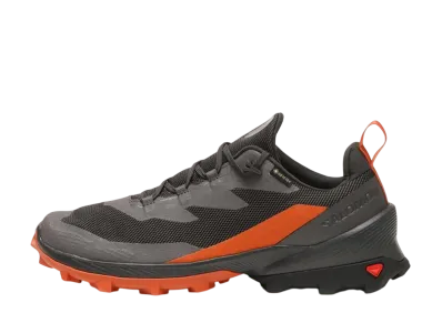 Salomon Cross Over 2 GORE-TEX "Magnet/Phantom/Spice Route"