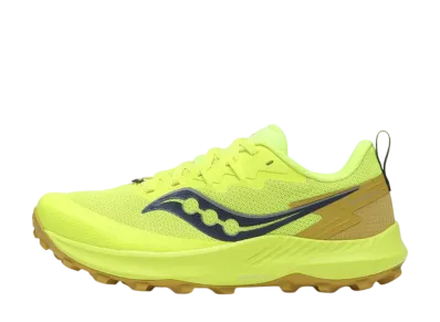 サッカニー ペレグリン14 "シトロン/オーク"