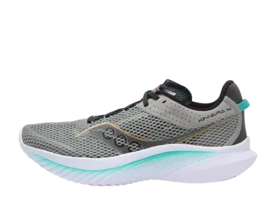 サッカニー キンバラ14 "フォッシル/パーム"