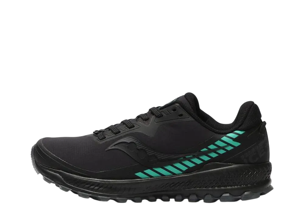 サッカニー ウィメンズ ペレグリン アイスプラス2 "ブラック/ジェイド"