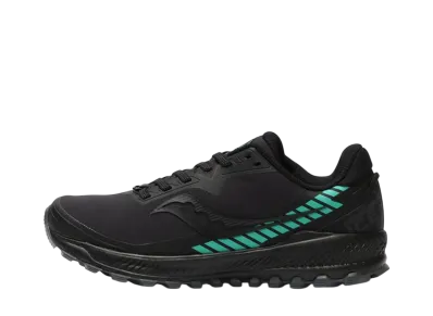 サッカニー ウィメンズ ペレグリン アイスプラス2 "ブラック/ジェイド"