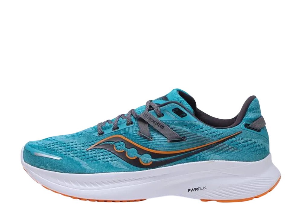 サッカニー ガイド16 "アガベ/マリーゴールド"