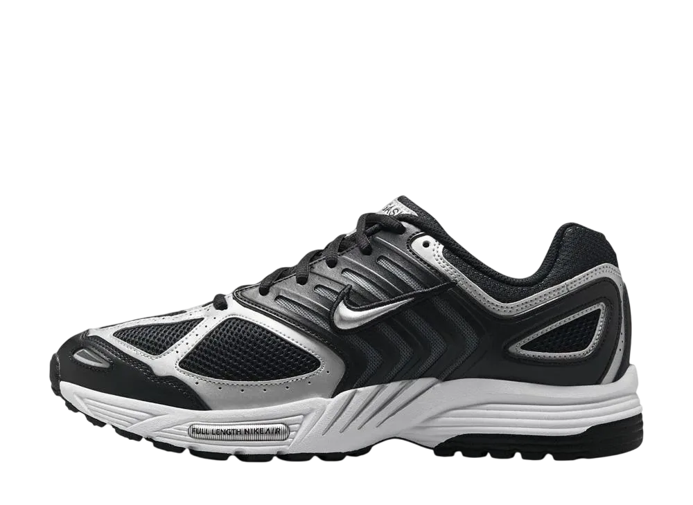 ナイキ エアペガサス 2K5 "オルカ"