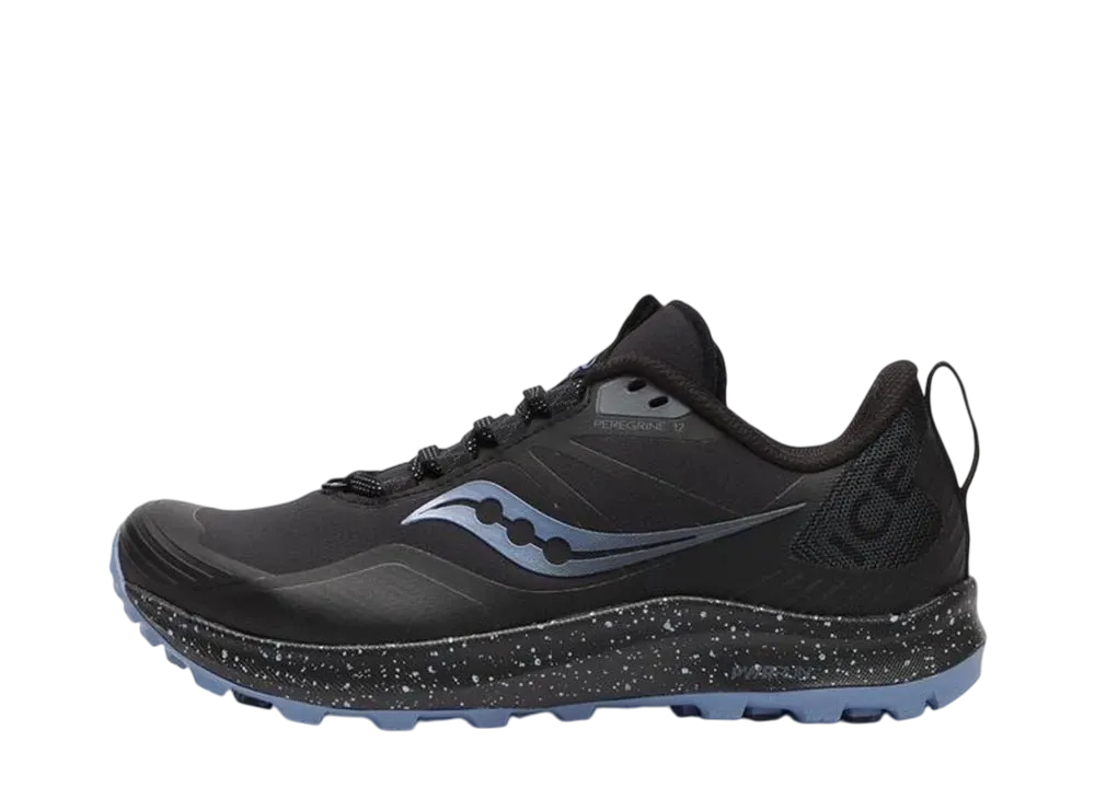 サッカニー ウィメンズ ペレグリン アイスプラス3 "ブラック/サミット"