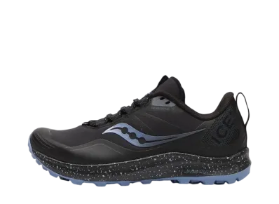 サッカニー ウィメンズ ペレグリン アイスプラス3 "ブラック/サミット"