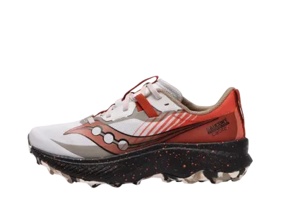 サッカニー ウィメンズ エンドルフィン エッジ "フォグ/ゼニス"