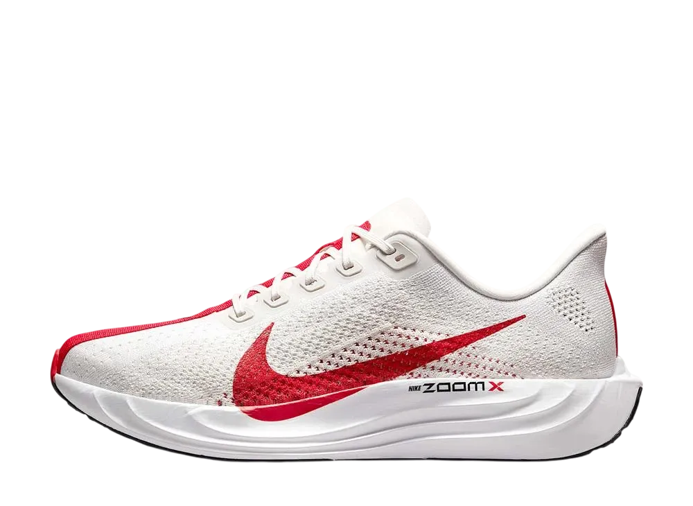Nike Pegasus Plus 