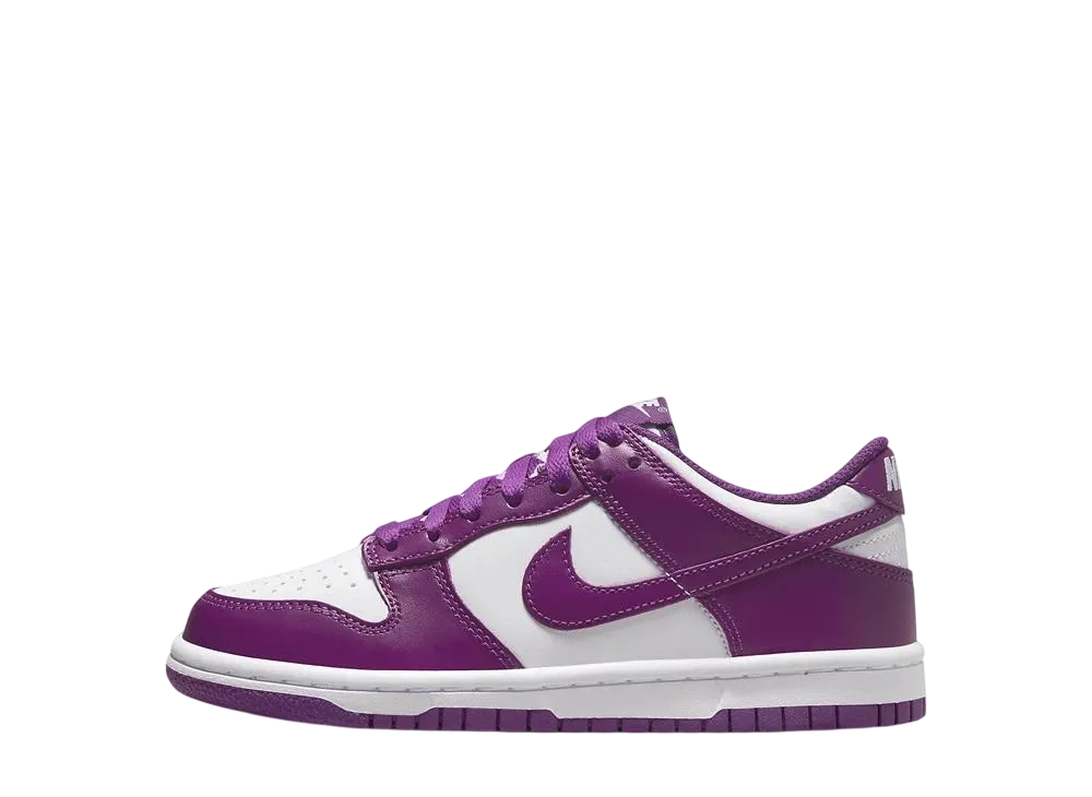 ナイキ GS ダンク ロー "ホワイト/ホワイト/バイオテック"