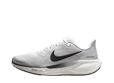 Nike Women's Pegasus 41 "Light Smoke Grey/Platinum Tint/Dark Raisin/Black"
