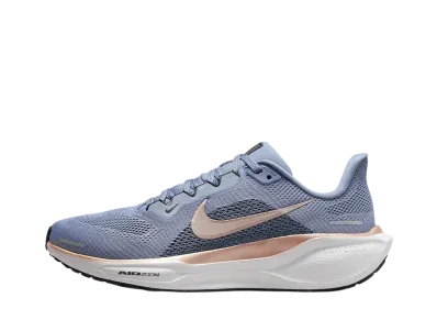 Nike Women's Pegasus 41 "Ashen Slate/Armory Navy/Black/Metallic Red Bronze"