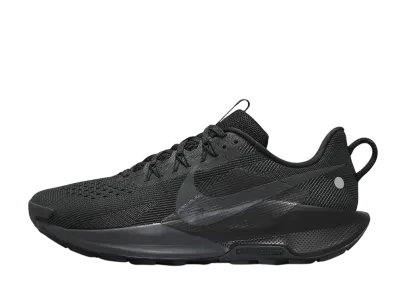 Nike Pegasus Trail 5 "Black/Velvet Brown/Anthracite"
