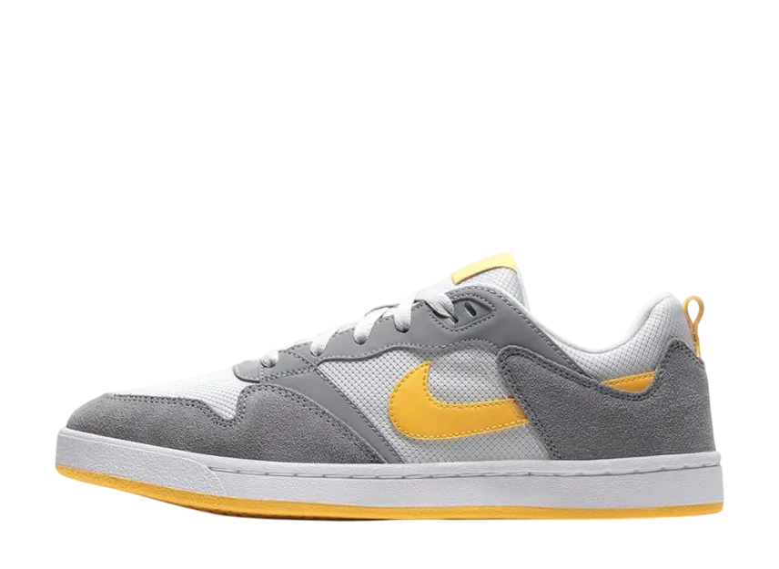ナイキ SB アリウープ "パーティクルグレー/フォトンダスト/ホワイト/ユニバーシティゴールド"