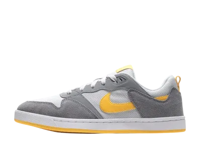 Nike SB Alleyoop "Particle Grey/Photon Dust/White/University Gold"