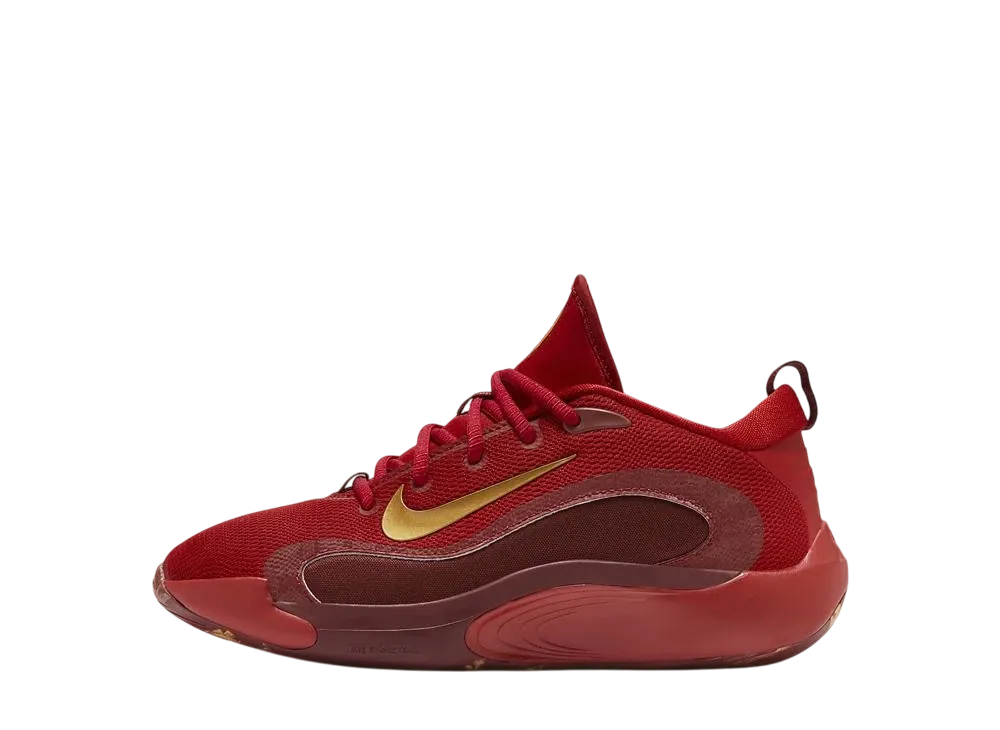 ナイキ GS アイソフライ "ジムレッド/チームレッド/ダークチームレッド/メタリックゴールド"