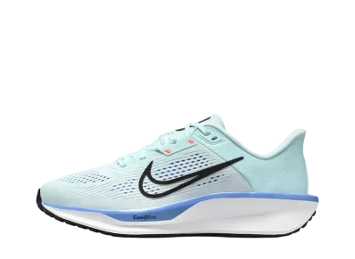 ナイキ ウィメンズ クエスト6 "グレイシャーブルー/ロイヤルパルス/ホワイト/ブラック"