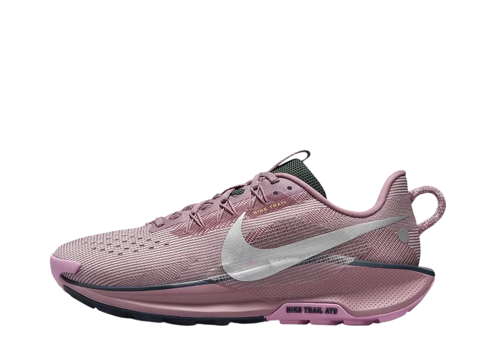Nike Women's Pegasus Trail 5 "Plum Dust/Platinum Violet/Beyond Pink/Metallic Silver"