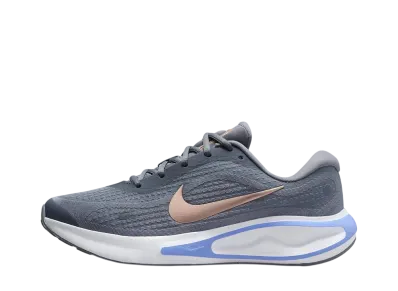ナイキ ウィメンズ ジャーニーラン "クールグレー/ホワイト/ロイヤルパルス/メタリックブロンズ"