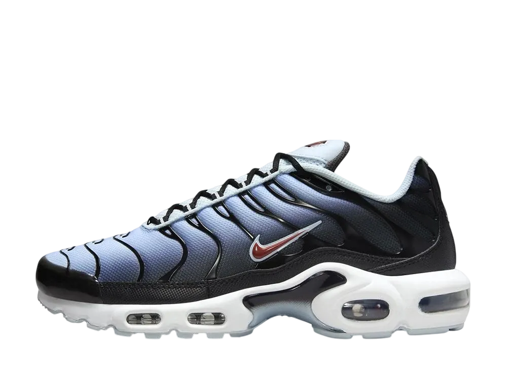 ナイキ エアマックスプラス "ブラック/ラッグドオレンジ/ブルーティント/アイアングレー"