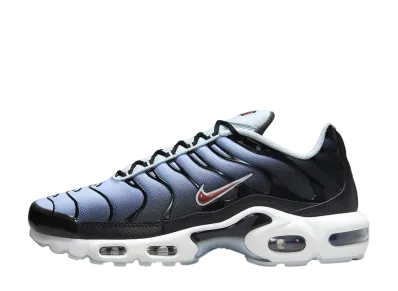 Nike Air Max Plus "Black/Rugged Orange/Blue Tint/Iron Grey"