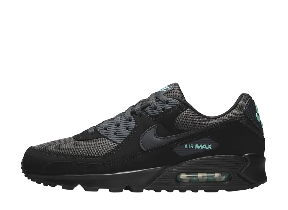 Nike Air Max 90 "Black Tiffany"