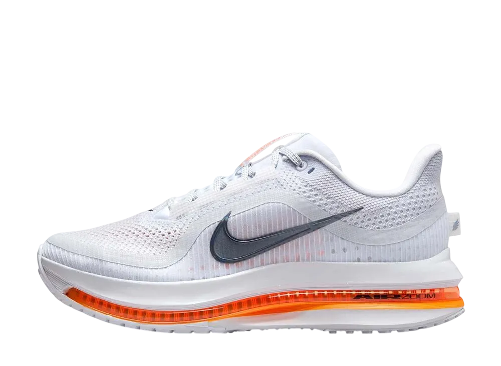 Nike Pegasus Premium "Airscape"