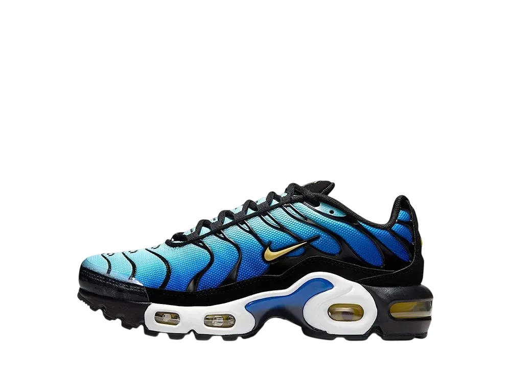 Nike GS Air Max Plus "Black/Sky Blue/Hyper Blue/Chamois"