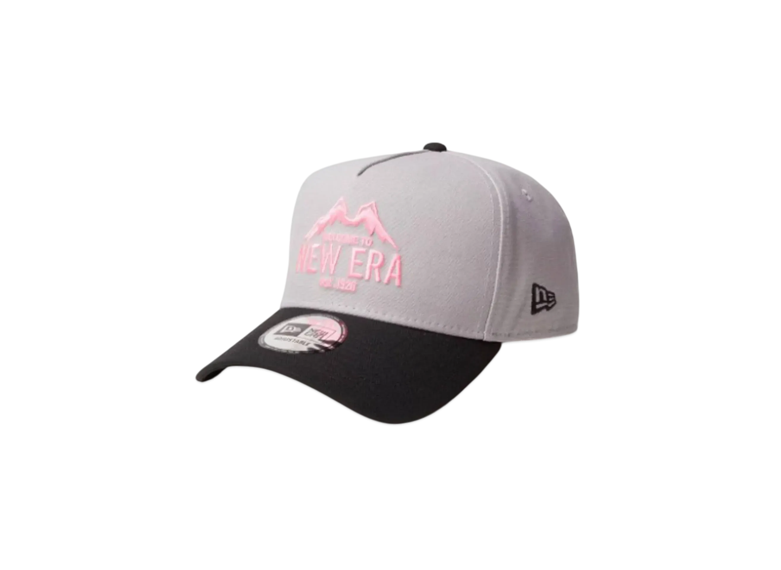 NEW ERA New Era Outdoor 9Forty A-Frame Duck Canvas Mountain Logo "Gray/Black"
