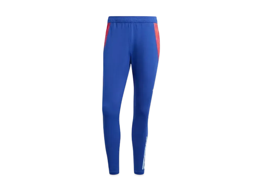 adidas Spain National Team Tiro 24 Competition Training Pants "Victory Blue/Halo Mint"