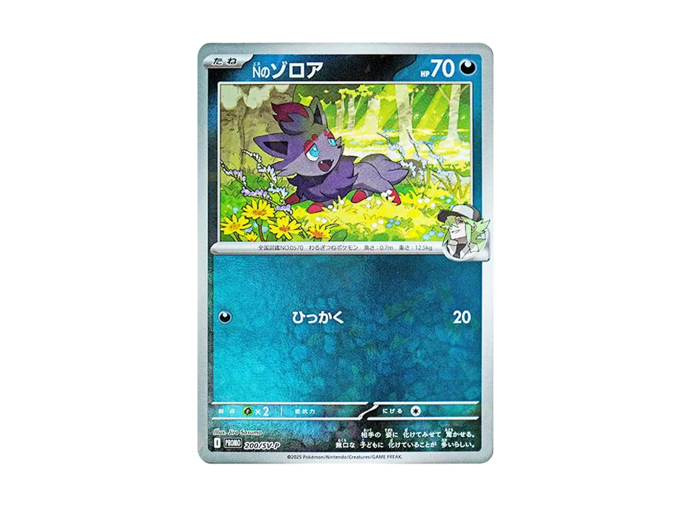 Nのゾロア P [SV-P 200](プロモーションカード「コレクションファイル