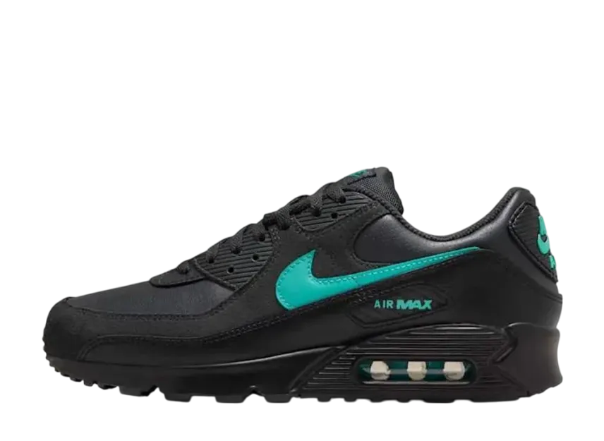ナイキ エアマックス90 "ブラックティファニー"