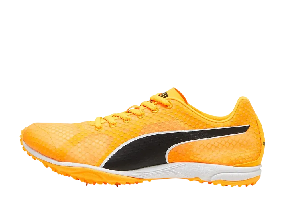 Puma Evospeed Haraka 8 "Sun Stream/Puma Black/Puma White"