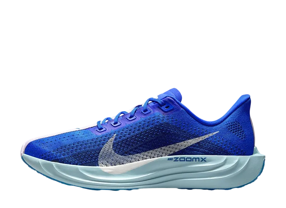 ナイキ ペガサスプラス "レーサーブルー/ブルーボイド/ドール/セイル"