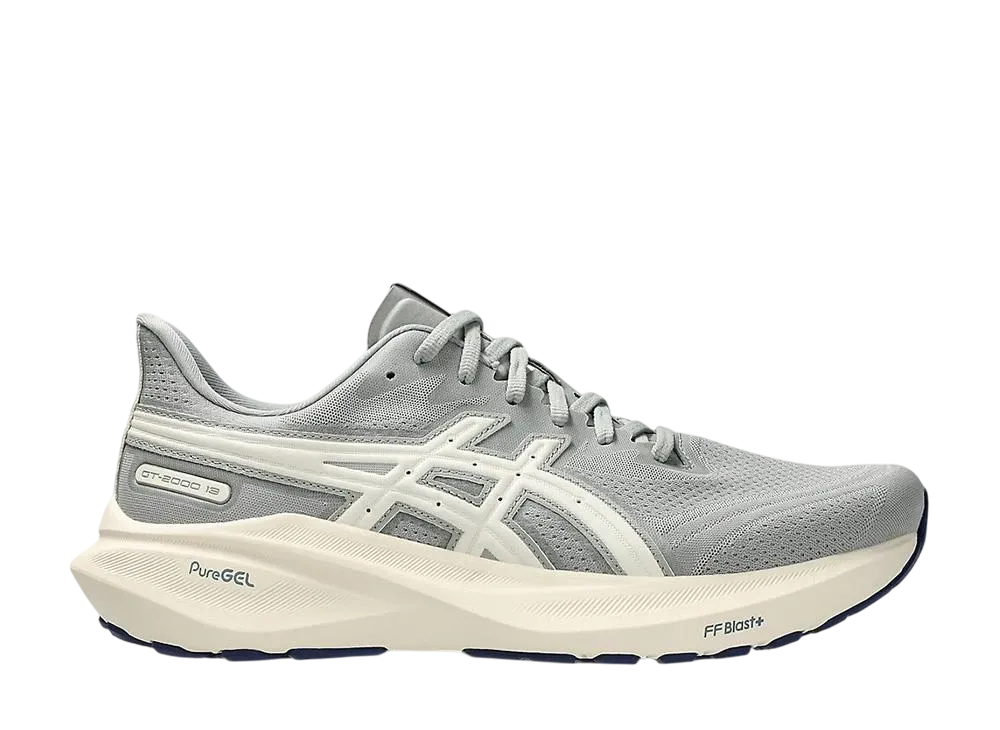 Asics GT-2000 13 ATC "Seal Grey/Birch"