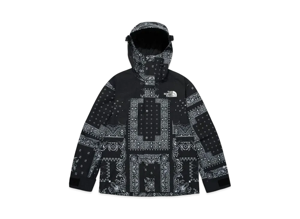 The North Face Eco GTX Mountain Jacket "Black"