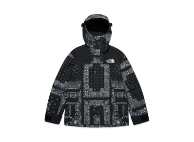 The North Face Eco GTX Mountain Jacket "Black"