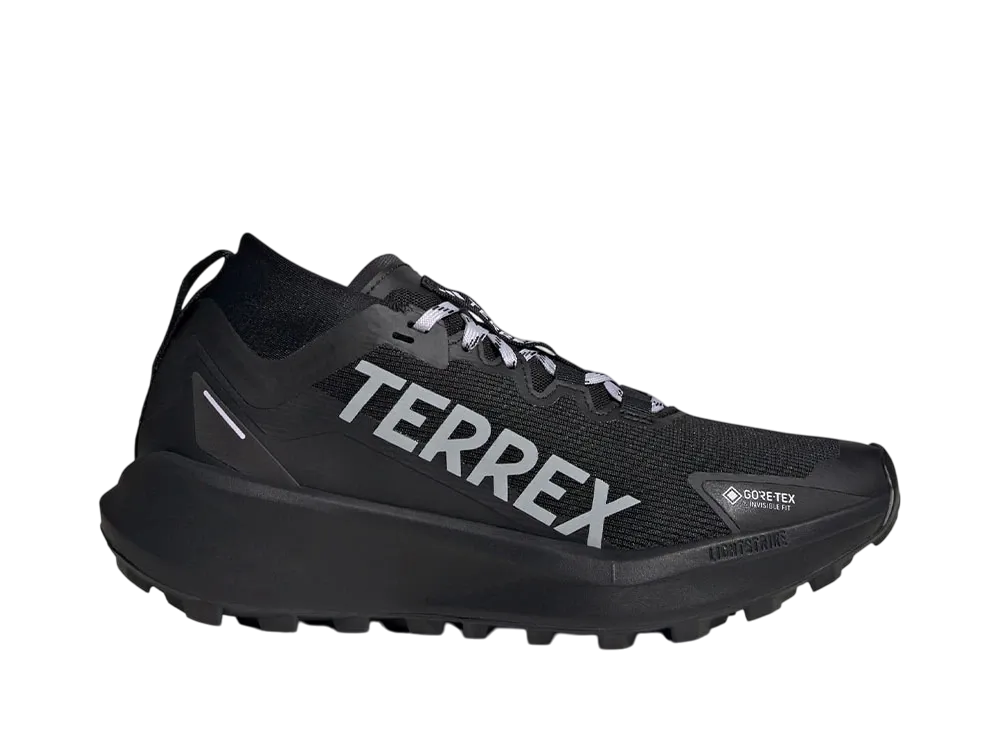 アディダス ウィメンズ テレックス アグラヴィック ゴアテックス トレイルランニング "コアブラック/シルバードーン/グレーツー"