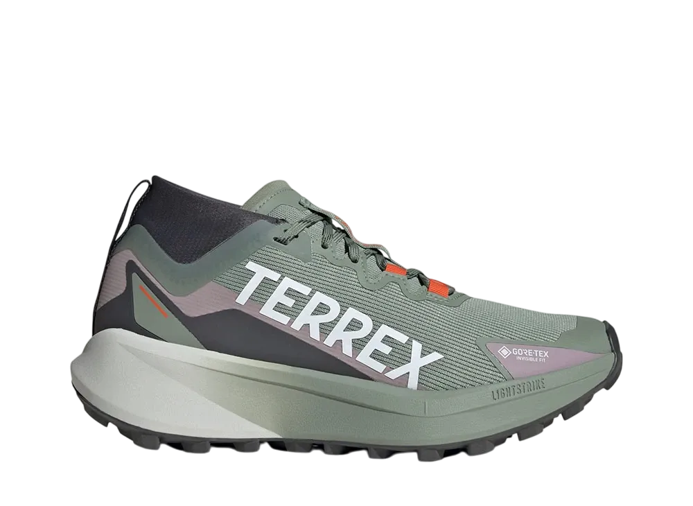 adidas Women's Terrex Agravic GORE-TEX "Silver Green/Cloud White/Preloved Fig"