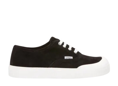 LOEWE Terra Vulca Lace Up Sneaker in Suede "Black"