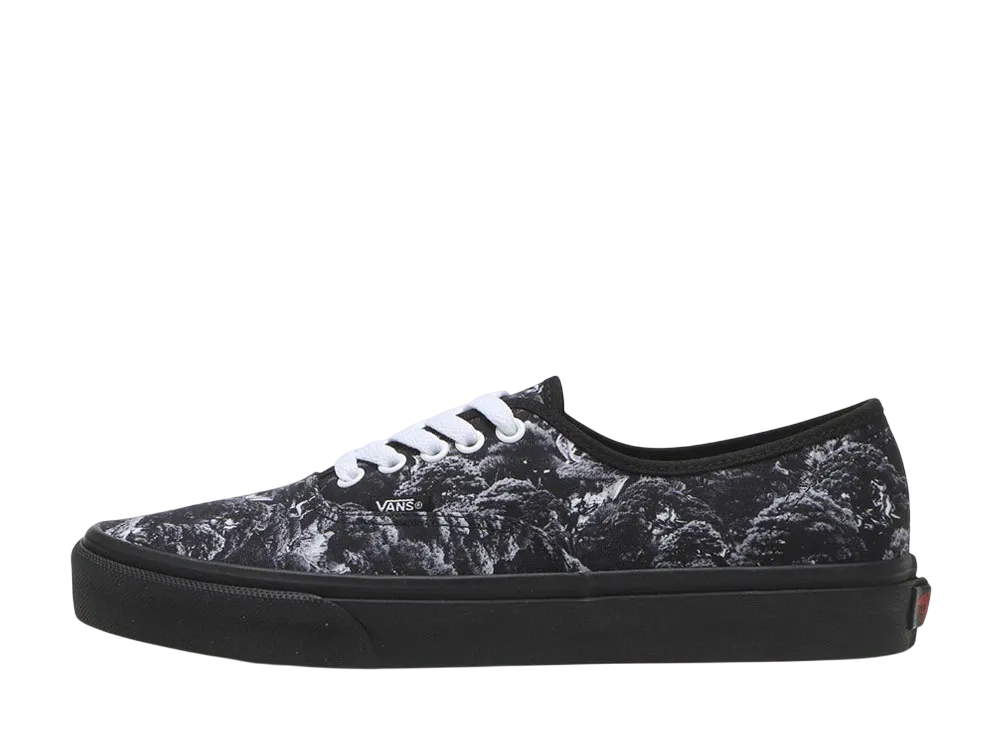 TRADMAN'S BONSAI × Vans Authentic "Bonsai Camouflage" (V44CF TRADMANS)